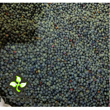 MENENGİÇ TOHUMU 500 GRAM